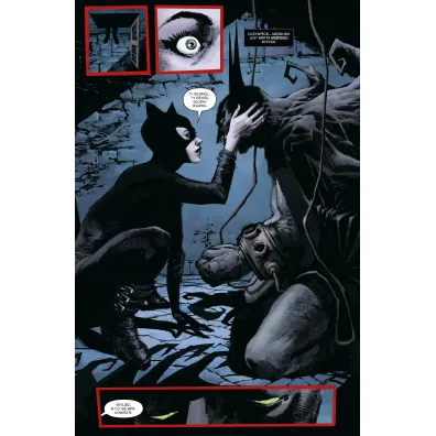Batman Detective Comics. Gothamski Nokturn. Tom 4. Intermezzo