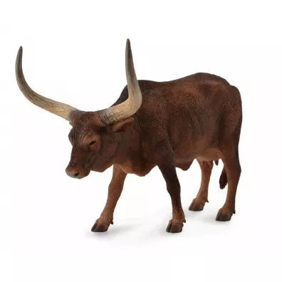 Krowa ankole-watusi