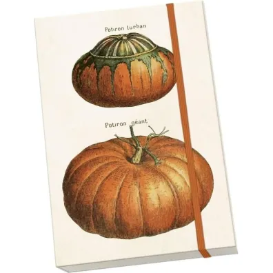 Skona Ting Notatnik ozdobny A5 STNOTE 143 Dynie
