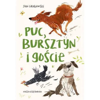 Puc, Bursztyn i gocie