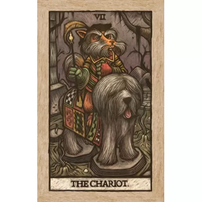 Labyrinth Tarot, karty i przewodnik