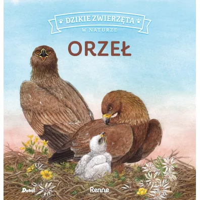 Orze. Dzikie zwierzta w naturze - Renne Renne