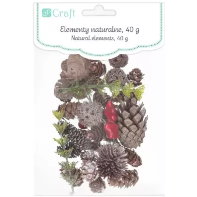 dpCraft Naturalne elementy 50 g