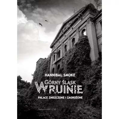 G�rny �l�sk w ruinie. Pa�ace zniszczone i zagro�one - Smoke Hannibal