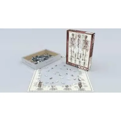 Puzzle 1000 el. Uk�ad szkieletowy Eurographics