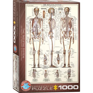 Puzzle 1000 el. Uk�ad szkieletowy Eurographics