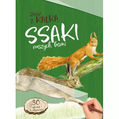 Ssaki naszych lasw. Zeszyt z kalk - Katarzyna Kopiec-Sekieta