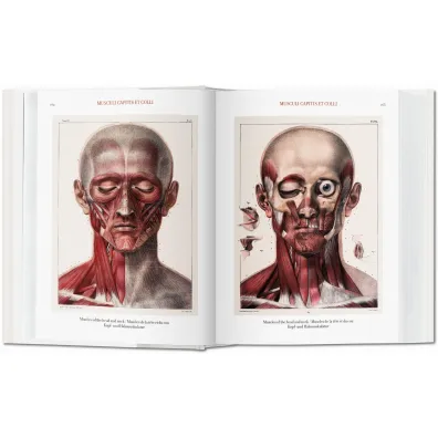 Atlas of Human Anatomy AND Surgery