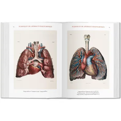 Atlas of Human Anatomy AND Surgery
