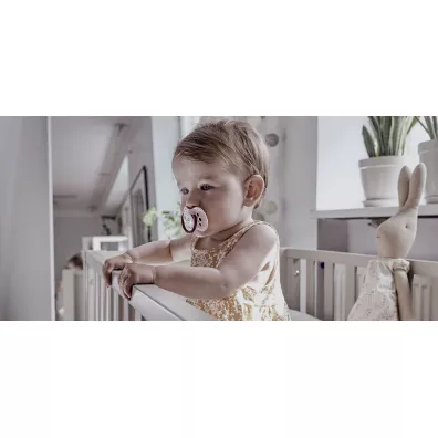 Lovi Smoczek silikonowy dynamiczny Buddy Bear 6-18m 2 szt.