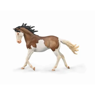 Klacz Mustang ma�ci Bay Splash Overo
