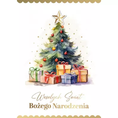 Armin Style Karnet Bo�e Narodzenie