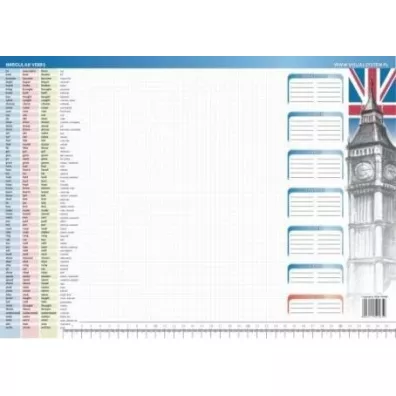 Visual System Biuwar. Irregular verbs 26 kartek