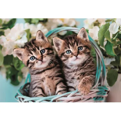 Puzzle 60 el. SuperColor. Lovely Kitty Twins Clementoni