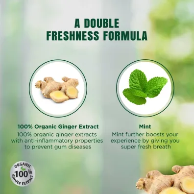Dabur Pasta do z�b�w z Organicznym Imbirem i Mi�ta - �wie�y oddech 100 ml