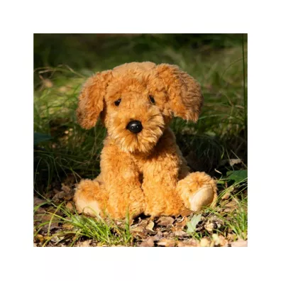 Pies Cockapoo One for Fun