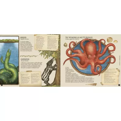 Historia naturalna stworze� magicznych