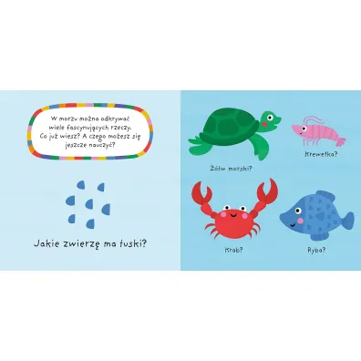 M�j kolorowy quiz. MORZE