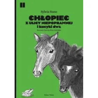 Ch�opiec z ulicy Niepoprawnej i kucyki dwa - Sylwia  Stano