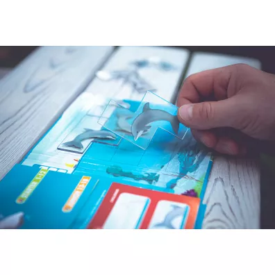 Smart Games. Zwinne Delfinki (PL) IUVI Games