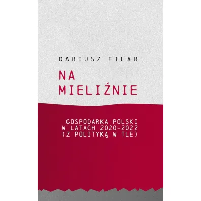 Na mieli�nie. Gospodarka Polski w latach 2020-2022 - Dariusz Filar