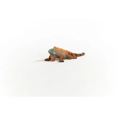 Iguana