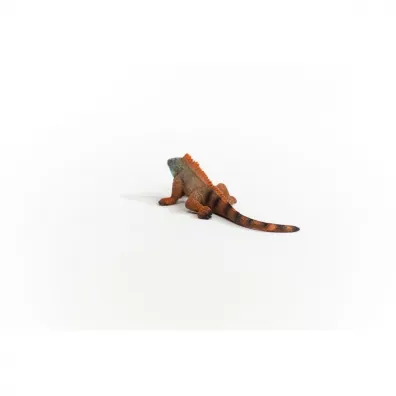Iguana