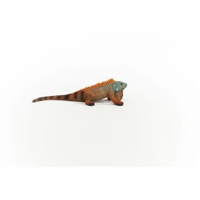 Iguana