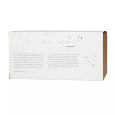 Paper & Tea Zestaw startowy Matcha Absolute Beginner