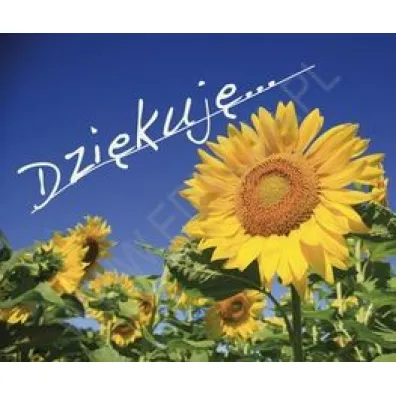 Dzi�kuj�. Pere�ka