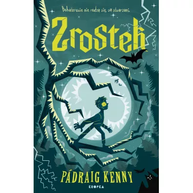 Zrostek - Padraig Kenny