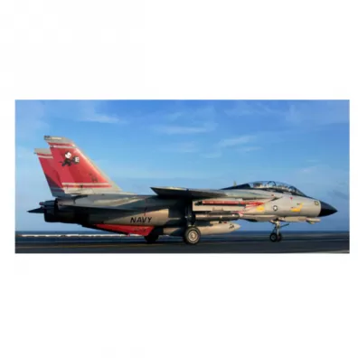 Samolot. F-14D Super Tomcat Revell