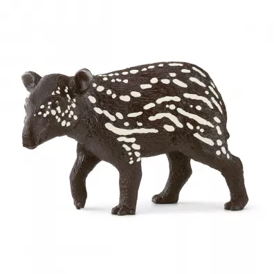 Ma�y tapir SLH14851