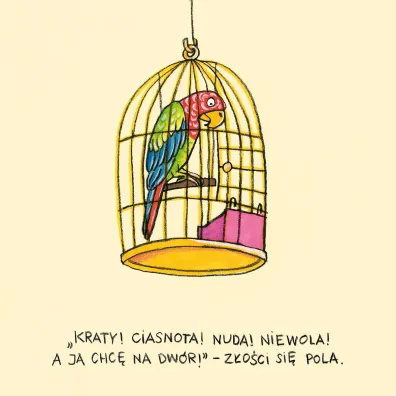 Pola z ulicy Czere�niowej