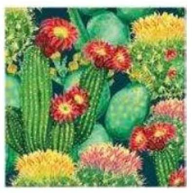 Paw Serwetka Lunch Decor Vibrant Cacti 33x33 20szt./op.
