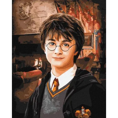 Ideyka Malowanie po numerach - Harry Potter 40x50cm