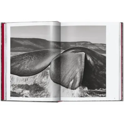 Sebastiao Salgado. Genesis wer. angielska