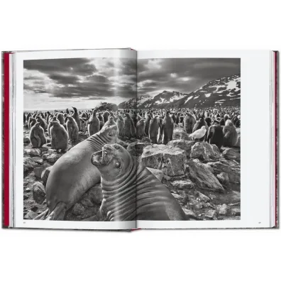 Sebastiao Salgado. Genesis wer. angielska
