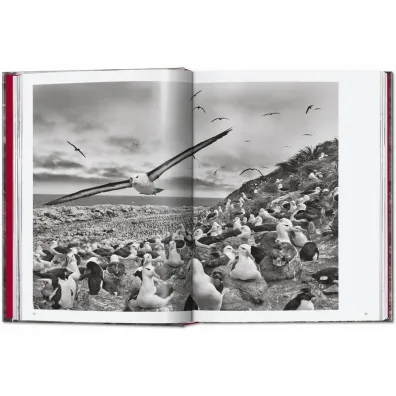 Sebastiao Salgado. Genesis wer. angielska