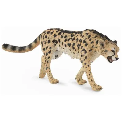 Gepard kr�lewski