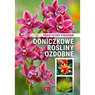 Doniczkowe roliny ozdobne. Poradnik praktyczny