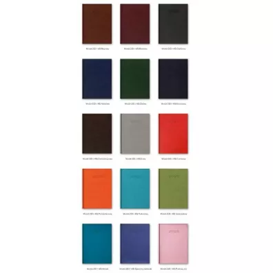 Lucrum Kalendarz 2025 A5 Dzienny Vivella MIX - X