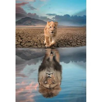 Puzzle 300 el. Super Self Reflection Clementoni