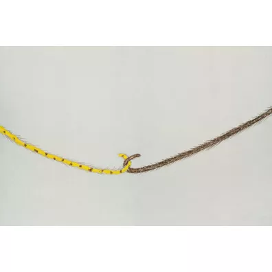 Leopantera