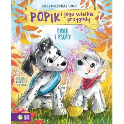 Figle i psoty. Popik i jego wielkie przygody. Tom 4 - Aniela Cholewi�ska-Szkolik