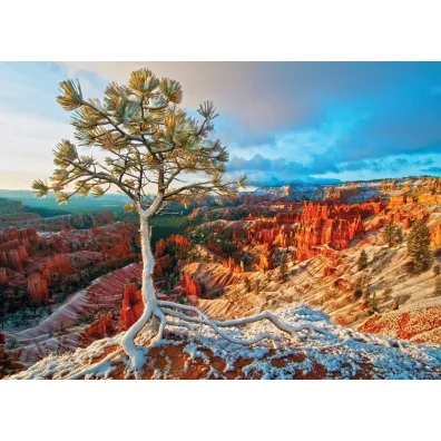 Puzzle 1000 el. Zimowy wsch�d s�o�ca Eurographics
