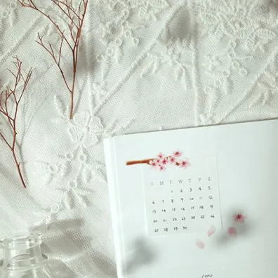 Daily Naklejki ozdobne Kwiat Wi�ni