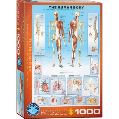 Puzzle 1000 el. The Human Body Eurographics