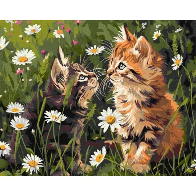 Ideyka Malowanie po numerach - Koty w kwiatach 40x50cm