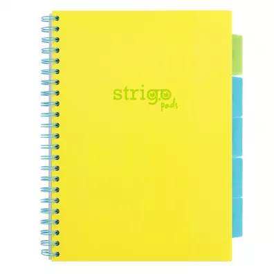 Koozeszyt Strigo A4 Project Book Neon ty w kratk
